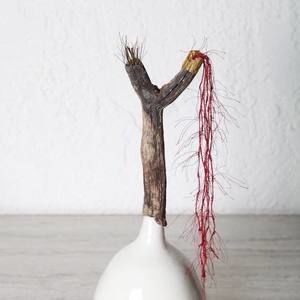 Meet your Posher, Sun hye